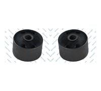 2x GSP Supporto Corpo Dell'Asse Posteriore Sinistro Destro per Audi 100 44 44Q