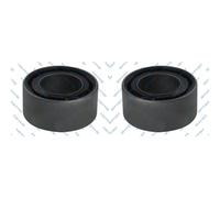 2x GSP Supporto Corpo Dell'Asse Posteriore Sinistro Destro per Renault Megane I