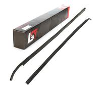 2X Guarnizione Finestra Porta Posteriore Sinistra Destra Per VW GOLF I 17 74-85