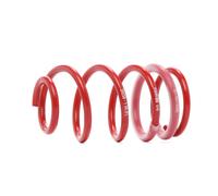 2x H&R Molle ammortizzatori Anteriore 29258VA1