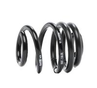 2x H&R Molle ammortizzatori Posteriore 29267HA1