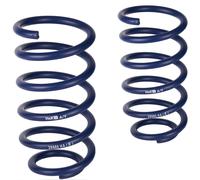 2X H&R Molle Di Abbassamento Posteriore Per Seat Arosa VW Lupo 30Mm Da 29529-1