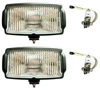 2X H3 Fari Nebbiosi Aggiuntivi E 12V Lampadine Per Camion E Auto