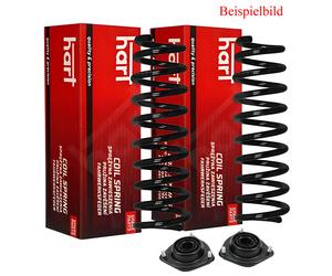 2x HART Molla Ammortizzatore + Cuscinetto Mozzo Posteriore per BMW 5 E39