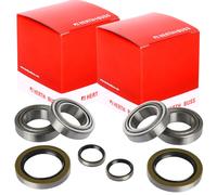 2X Herth+Buss Set Cuscinetti per Ruote Posteriore Sinistra + + Dx Adatto A di