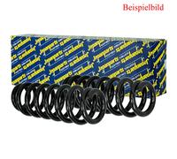 2X JAPANPARTS Molla Della Sospensione Posteriore Per VW Golf VI 5K1 1K1 1K2