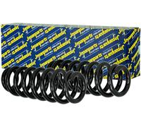 2X JAPANPARTS Molle Sospensione Molle A Spirale Anteriori Per Nissan Juke F15