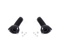 2x JAPANPARTS Supporto Posteriore per Lexus Rx MHU3_GSU3_MCU3_400h AWD