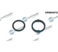 2x Kit guarnizioni radiatore olio DRM0497S Dr.Motor Automotive per OPEL ASTRA J