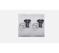 2x Kit Riparazione Carburatore & Membrane per Yamaha XVS 1100 XVS1100 1999-2007