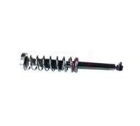 Coppia Ammortizzatori Completa MacPherson Posteriori per BMW 5 E39 1995-2003
