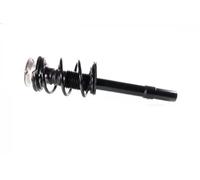 2x Montante Completo a Gas Anteriore per BMW 5 Touring (E61) 525D, 530D