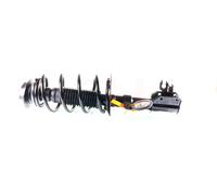 GH GH-352344C01 Ammortizzatore a molla