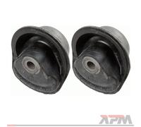 2x Lemförder 10194 02 Supporto Corpo Assale Posteriore per VW Passat 35I 3A2 35I