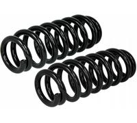 2X LESJÖFORS Molle Sospensione Molle A Spirale Posteriori Per Fiat Punto 188