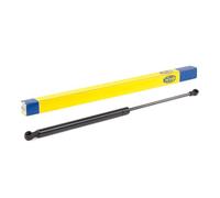 2x MAGNETI MARELLI Ammortizatore pneumatico Cofano bagagli/vano carico 430719083300 500 340 195