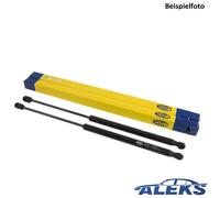 2x Magneti Marelli Gas Sollevatore Ammortizzatore Portellone per BMW 3er E46