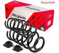2x Magnum Molla Ammortizzatore + Cuscinetto Mozzo Anteriore per Audi A3 8P1