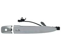 Maniglia della portiera BLIC 6010-16-969402C