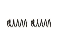 MAXGEAR 60-0428D Molle ammortizzatori