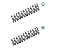 Molla autotelaio Assale anteriore per MERCEDES-BENZ 124 CLASSE E