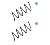 2x Meyle 014 639 0011 Molla di Sospensione Frontale per Mercedes-Benz W203
