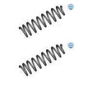 2x Meyle 014 739 0023 Molla di Sospensione Posteriore per Mercedes-Benz W164