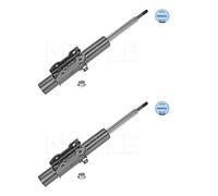 2x Meyle 026 623 0010 Ammortizzatori Pressione a Gas Ant. per Mercedes 906 VW 2E