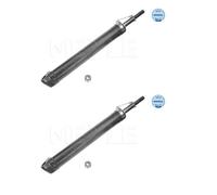 2x Meyle 026 625 0007 Ammortizzatore Anteriore per Smart Cabrio