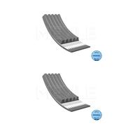 2x Meyle 050 005 0865 Cinghia Scanalata per BMW 3er E46 5er E39 7er E38 X5