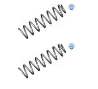 2x Meyle 100 739 0004 Molla di Sospensione Posteriore per Audi A4
