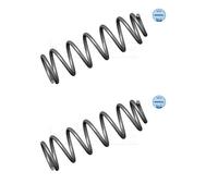 2x Meyle 100 739 0007 Molla di Sospensione Posteriore per Seat Toledo IV