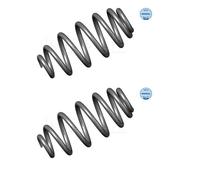 2x Meyle 100 739 0009 Molla di Sospensione Posteriore per Audi A4
