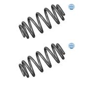 2x Meyle 100 739 0040 Molla di Sospensione Posteriore per Audi A4 Avant