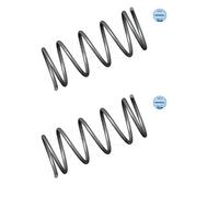2x Meyle 11-14 639 0002 Molla di Sospensione Frontale per Peugeot 206 Sw