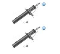 2x Meyle 11-26 613 0013 Ammortizzatore Anteriore per Citroën C15