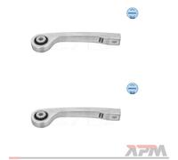 2x Meyle 116 060 0069 Barra / Puntone Stabilizzatore Posteriore per Audi Q5 A6