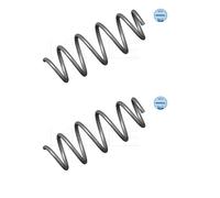2x Meyle 16-14 321 0002 Molla di Sospensione Frontale per Renault Twingo I