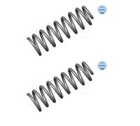 2x Meyle 16-14 639 0000 Molla di Sospensione Frontale per Dacia Logan