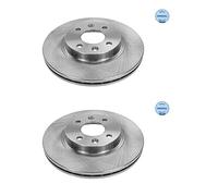 2x Meyle 16-15 521 0036 Disco Freni Anteriore 294 MM per Renault Dacia lada