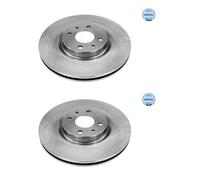 2x Meyle 215 521 0010 Disco Freni Anteriore per Fiat 500 Lancia Ypsilon Alfa
