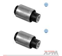 2x Meyle 300 333 2105 Supporto Puntone Assale Posteriore per BMW E36 E46 E83 E85