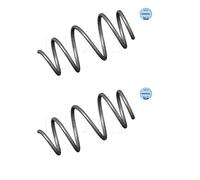 2x Meyle 314 639 0001 Molla di Sospensione Frontale per BMW E39
