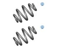 2x Meyle 314 739 0002 Molle Sospensioni Posteriori Miniblock per BMW E46