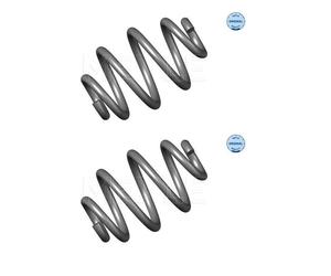 2x Meyle 314 739 0002 Molle Sospensioni Posteriori Miniblock per BMW E46