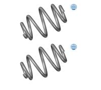 2X Meyle 314 739 0013 Molla Posteriore Per BMW 3ER E46 316I 318I 1094740