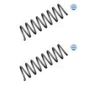 2x Meyle 314 739 0016 Molla di Sospensione Posteriore per BMW E60
