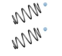 2x Meyle 614 739 0015 Molla di Sospensione Posteriore per Opel Astra G Cc