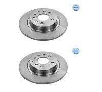 2x Meyle 615 523 0025 Disco Freno Posteriore per Opel Fiat Saab Cadillac