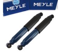 2x Meyle Ammortizzatore Posteriore per Citroen Jumper Fiat Ducato Peugeot Boxer